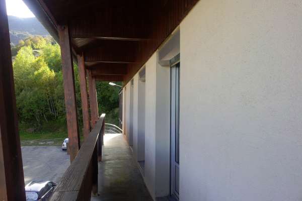 coursivegrandtetras-1200x900